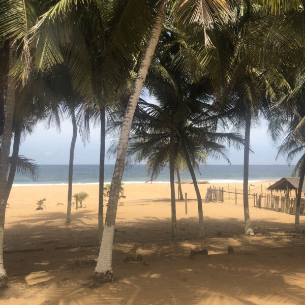 Fivoahana Bassam 2023*