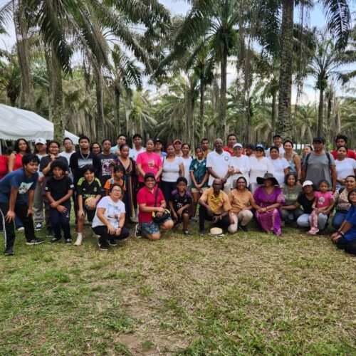 Fisindana 2024: Jardin botanique Bingerville